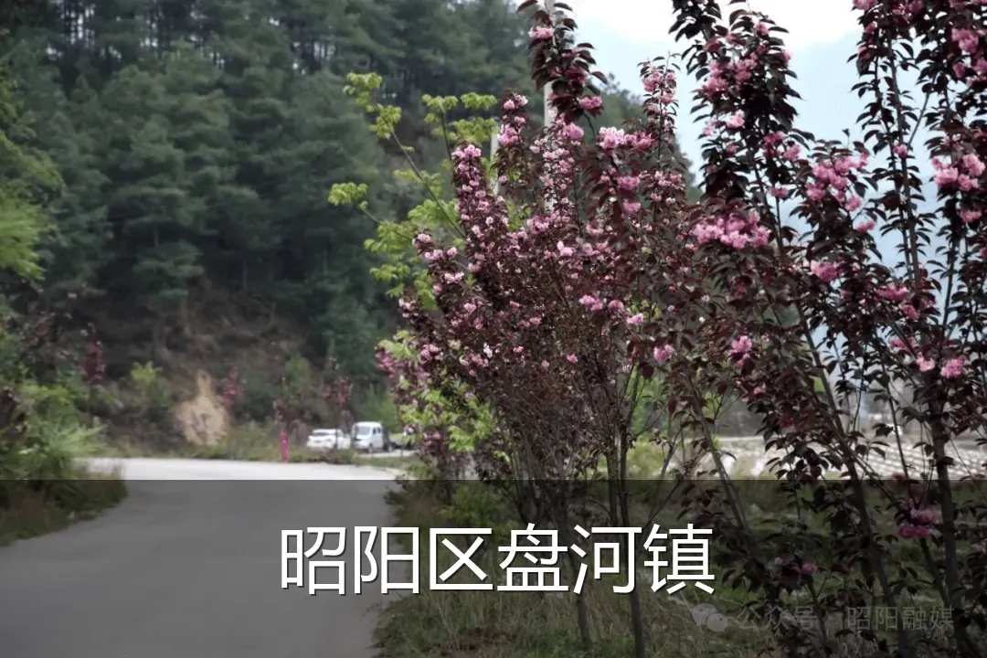 昭阳区盘河镇